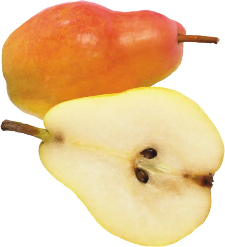 Red and Yellow Pear with Half Cut Pear