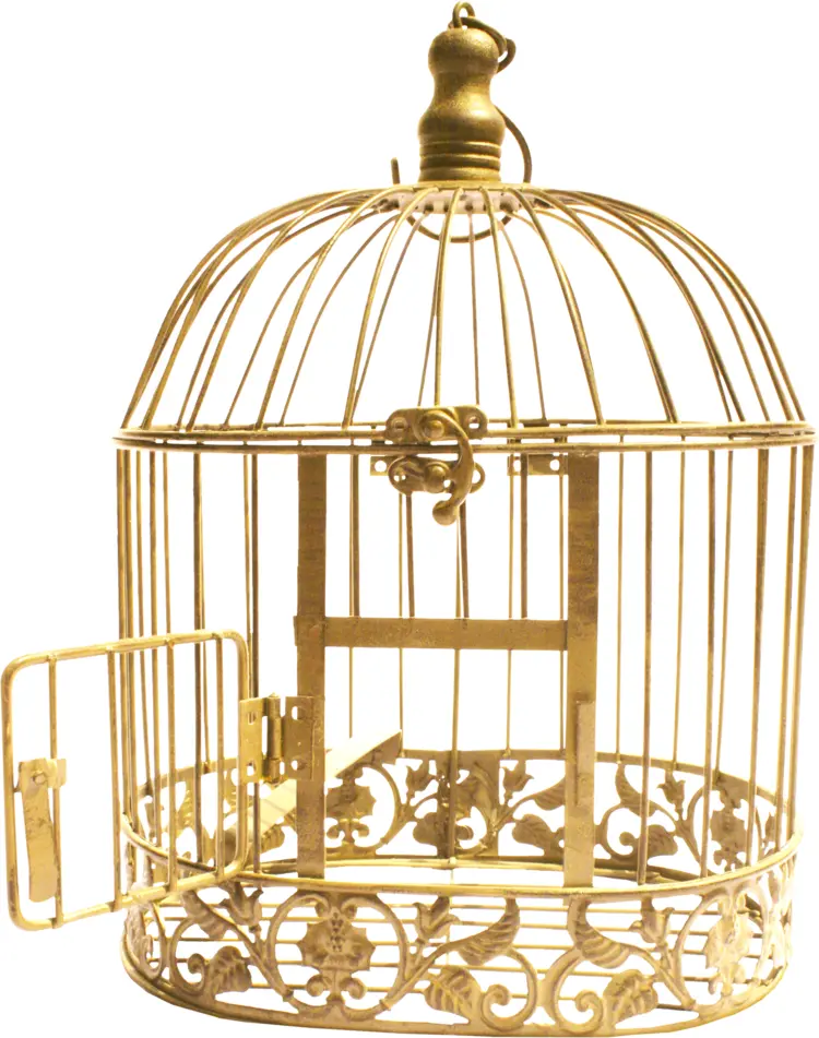 Ornate Golden Birdcage with Open Door