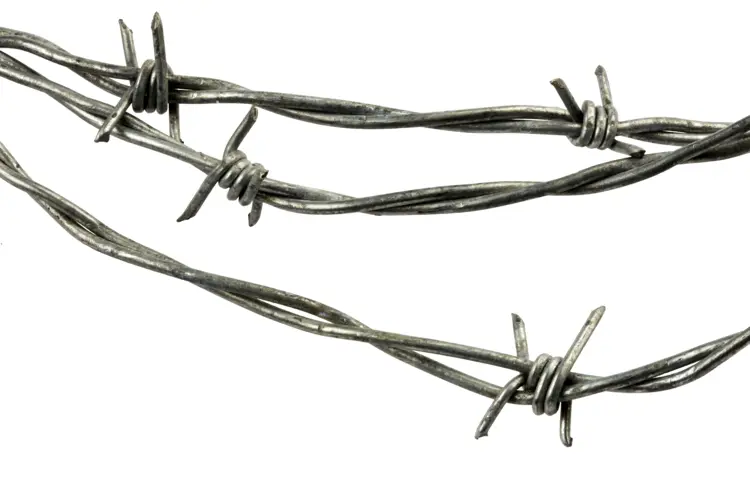 Barbed Wire for Fencing