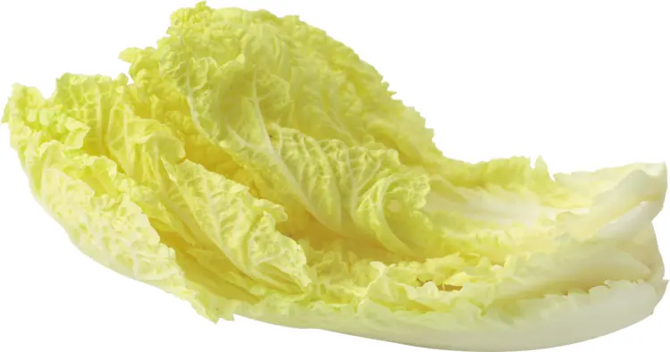 Fresh Napa Cabbage