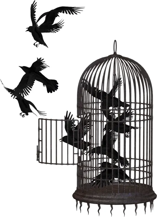 Birds Flying Out of Open Cage