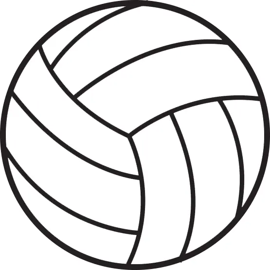 Black and White Volleyball Illustration