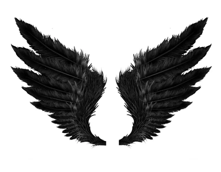 Black Feathered Wings
