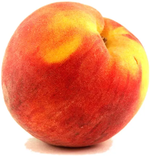 Juicy Sweet Peach