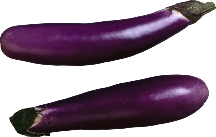Long Purple Eggplants