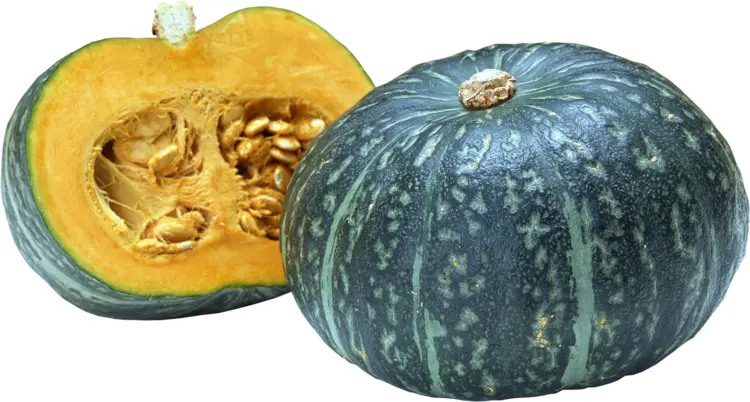 Green Pumpkin with Seeds