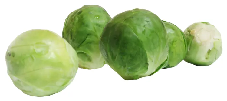 Fresh Green Brussels Sprouts