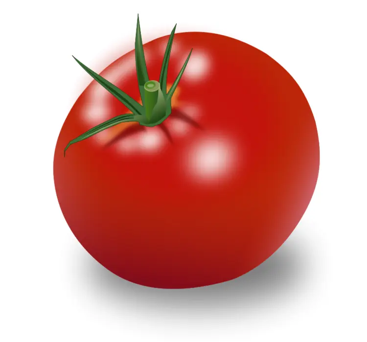 Whole Fresh Red Tomato