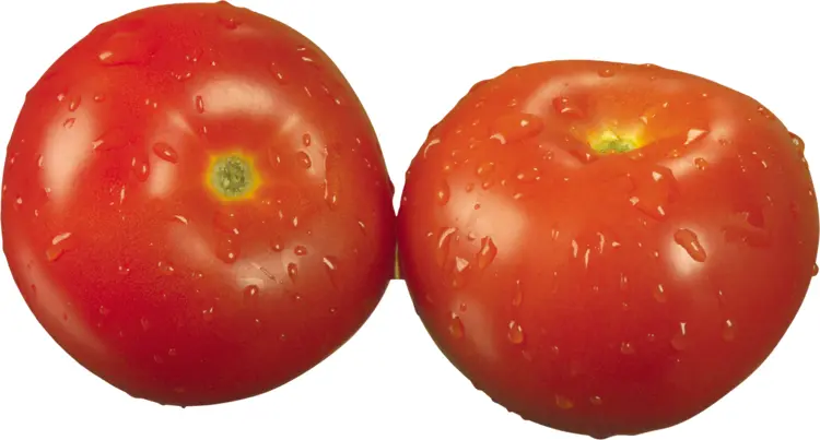 Pair of Fresh Red Tomatoes