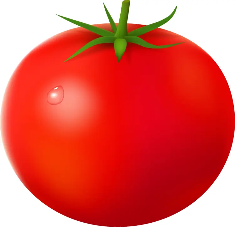 Juicy Red Tomato for Delicious Dishes