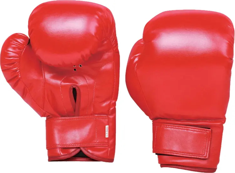 Pair of Red Boxing Gloves
