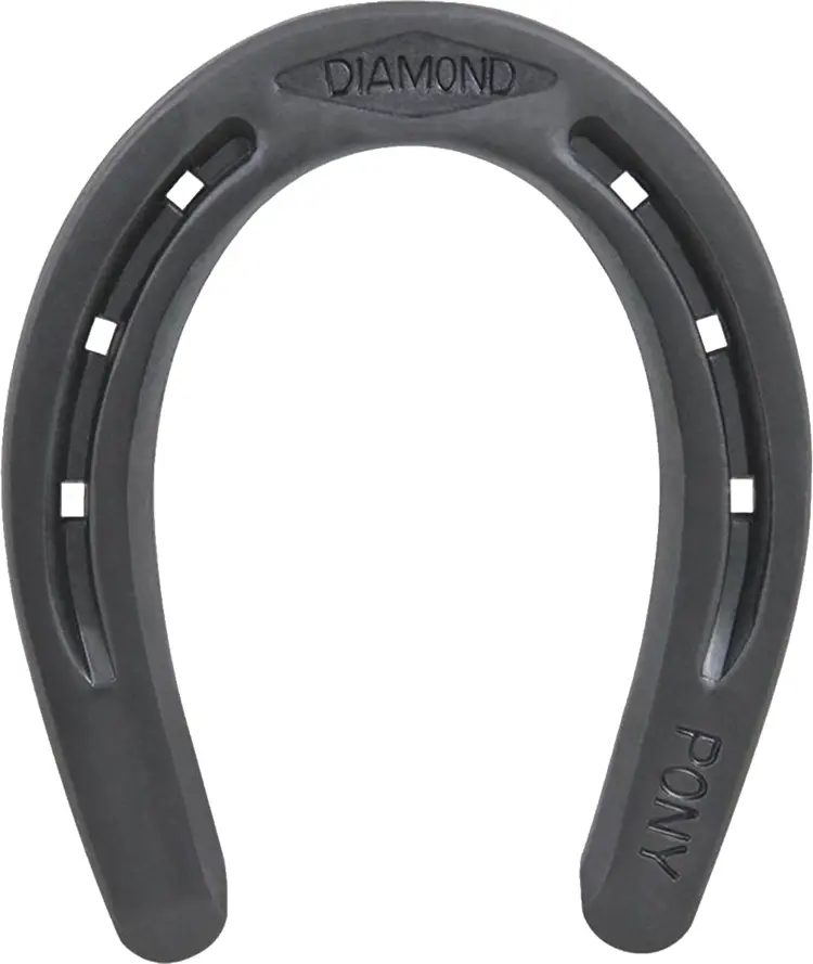 Black Horseshoe for Good Luck
