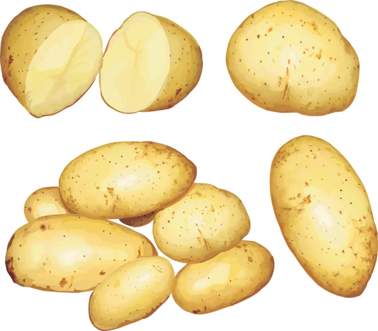 Group of Yellow Potatoes