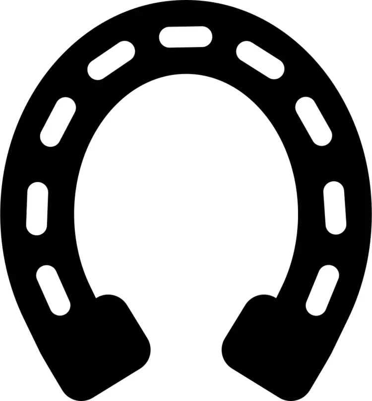 Black Horseshoe Symbol