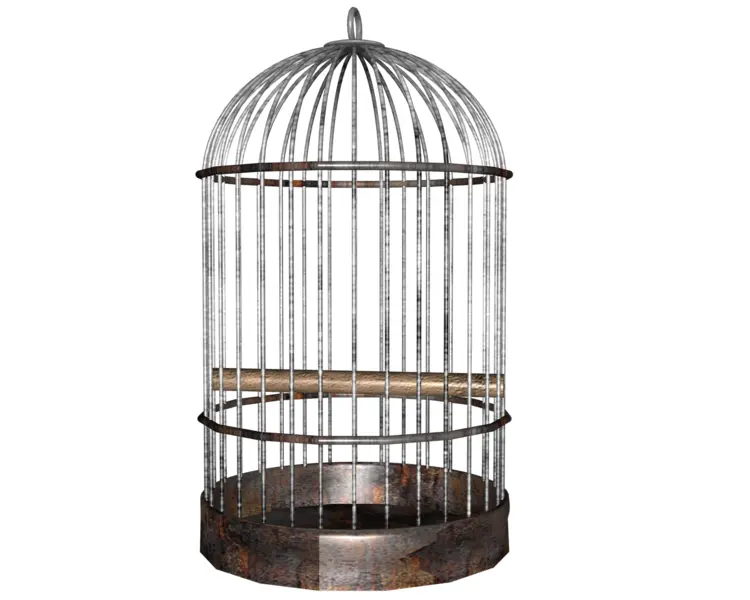 Rustic Birdcage with Perch
