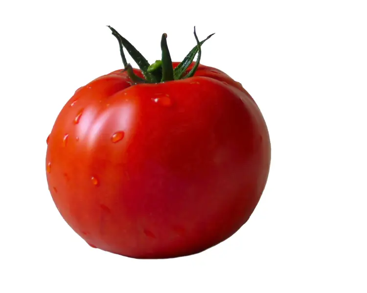 Ripe Red Tomato