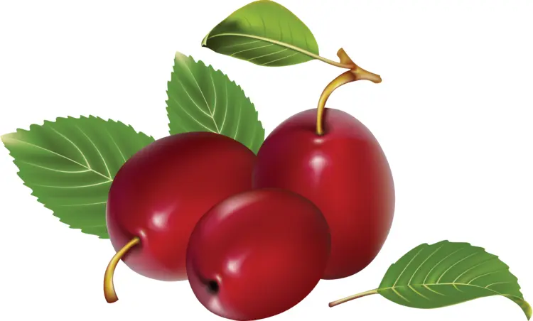 Fresh Red Plums with Green Leaves