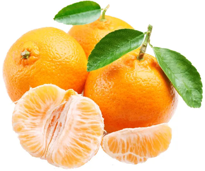 Mandarins with Leaves