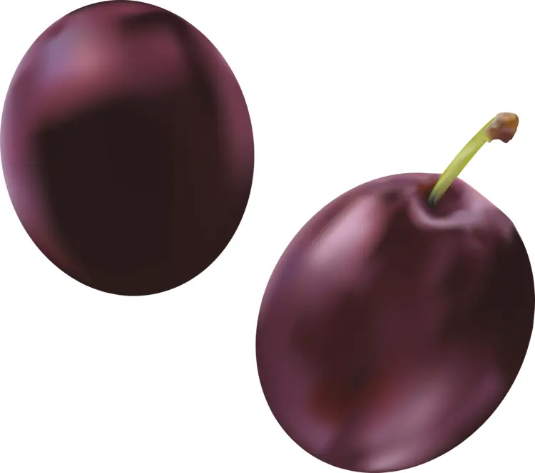 Juicy Purple Plums