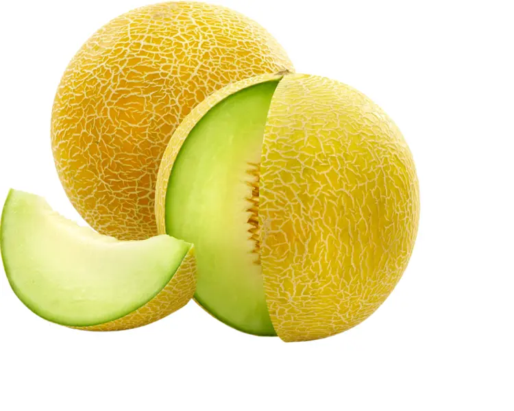 Whole and Sliced Honeydew Melon