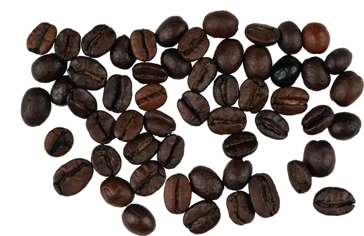 Roasted Coffee Beans