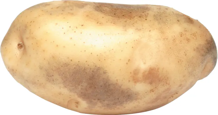 Brown Potato for Cooking