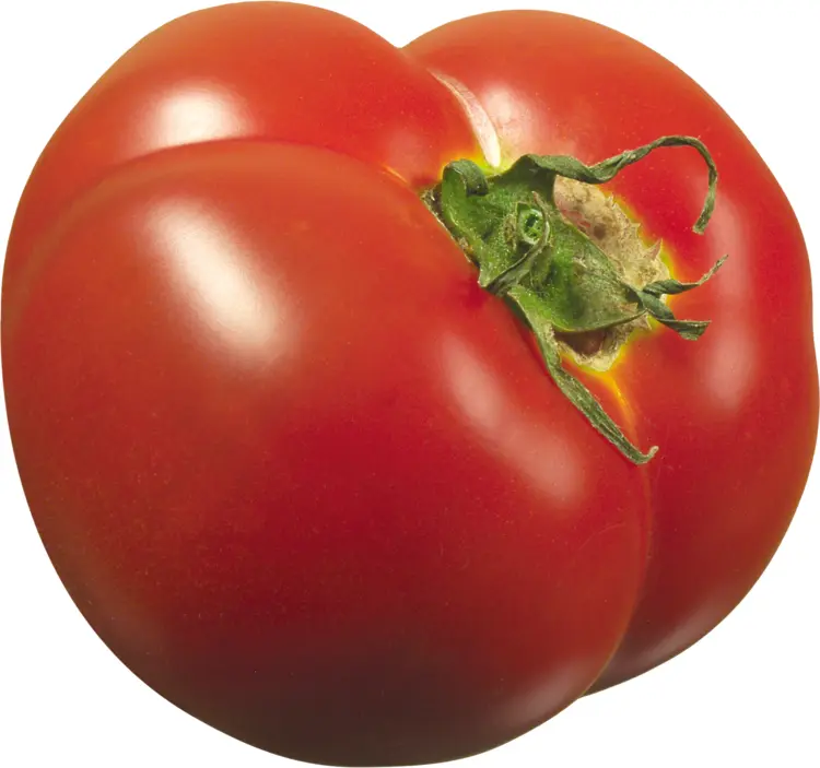 Whole Fresh Red Tomato
