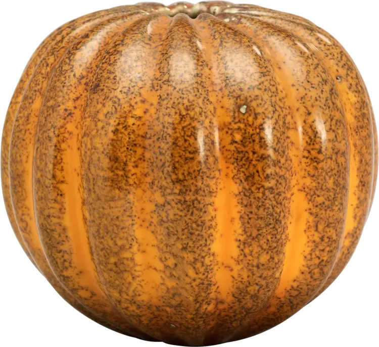 Orange Pumpkin with Speckled Skin