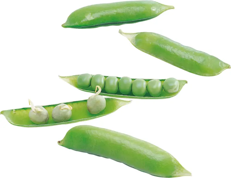 Green Peas in Pods