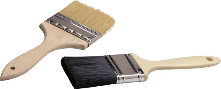 Two Paint Brushes
