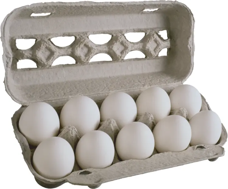 Carton of a Dozen White Eggs
