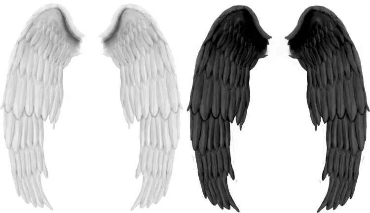 White and Black Wings