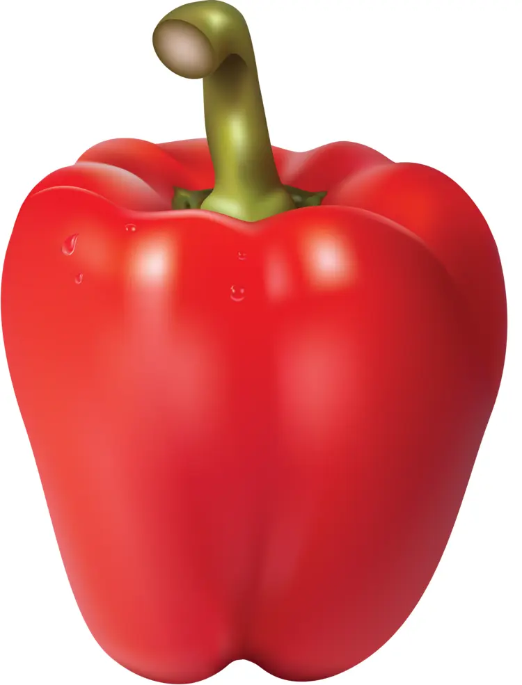 Healthy Red Bell Pepper