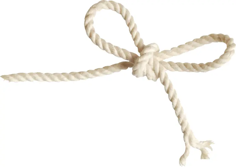 Simple Rope Bow