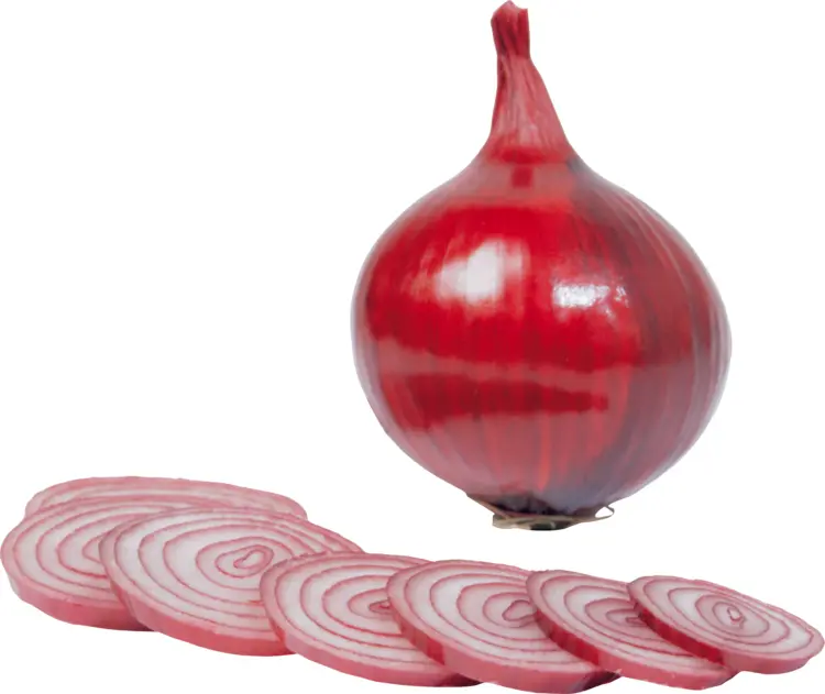 Red Onion Bulb and Slices