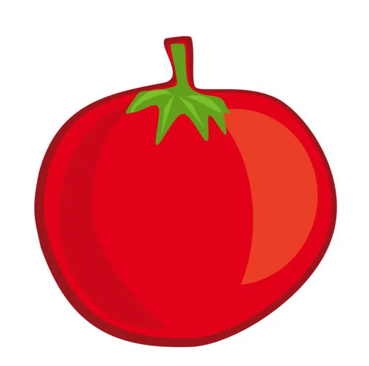 Fresh Red Tomato Illustration