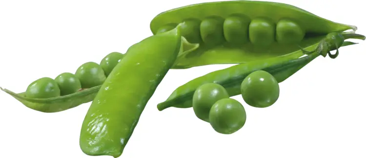 Green Peas in Pods