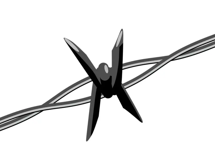 Close-up of Barbed Wire