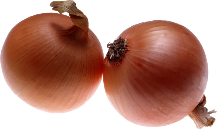 Two Brown Onions
