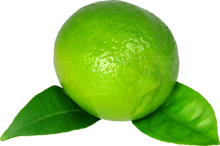 Fresh Green Lime with Leaves