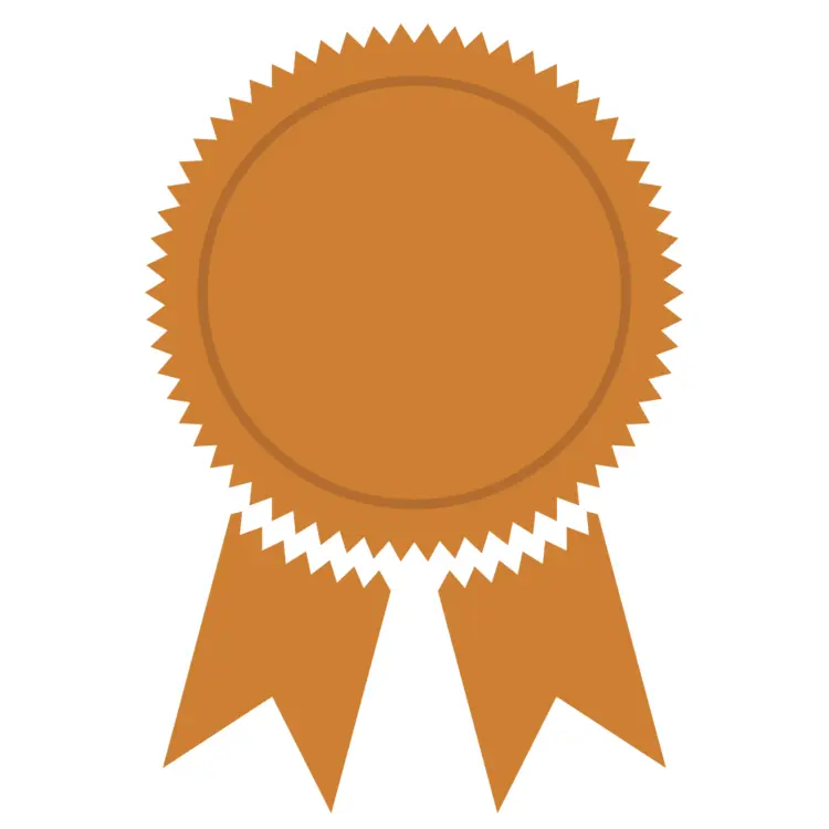 Bronze Medal with Ribbon