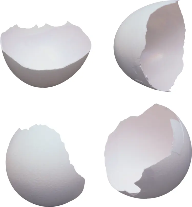 Set of Broken Eggshells