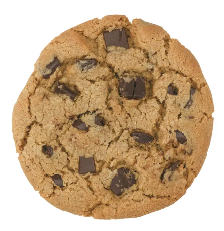 Single Chocolate Chip Cookie