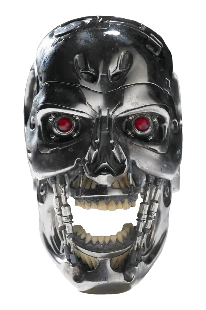 Terminator Cyborg Skull