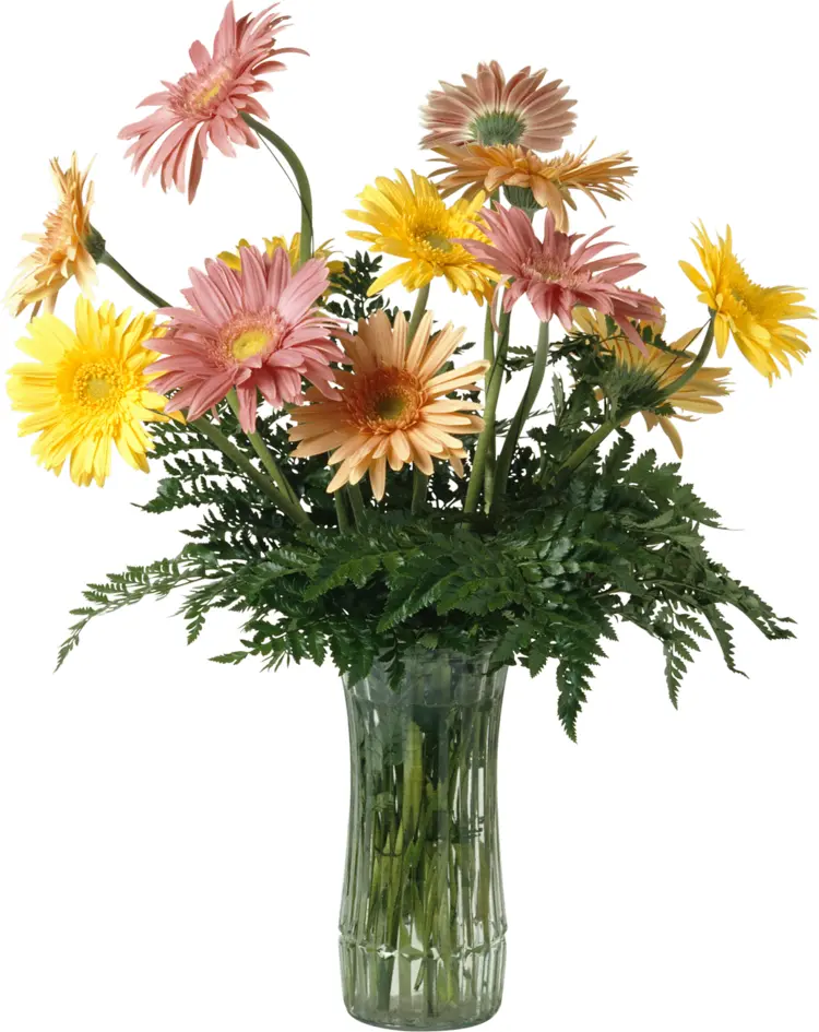 Colorful Flower Bouquet in Glass Vase