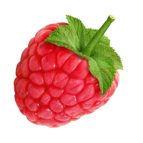 Fresh Red Raspberry