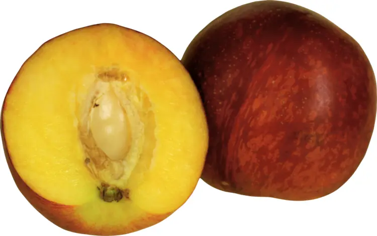 Cut Juicy Peach
