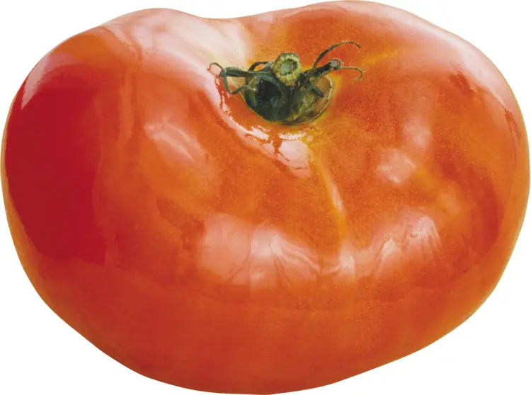 Whole Fresh Red Tomato