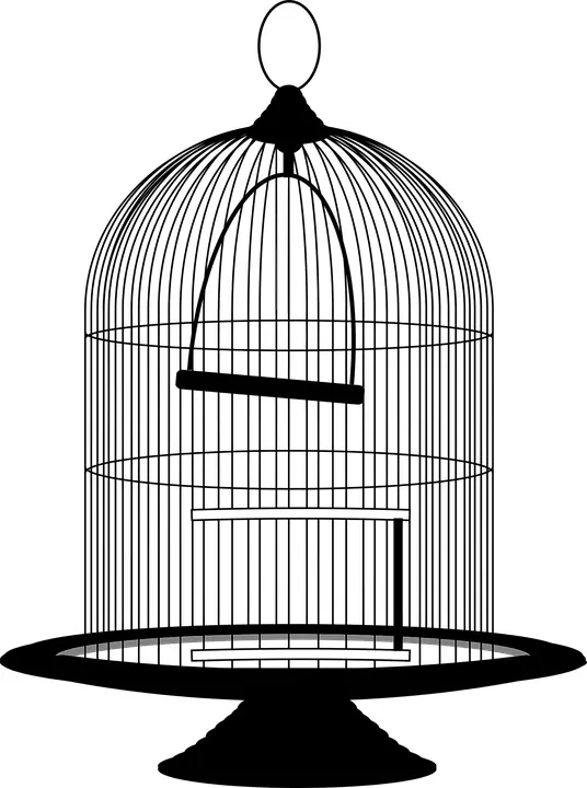 Simple Black Birdcage