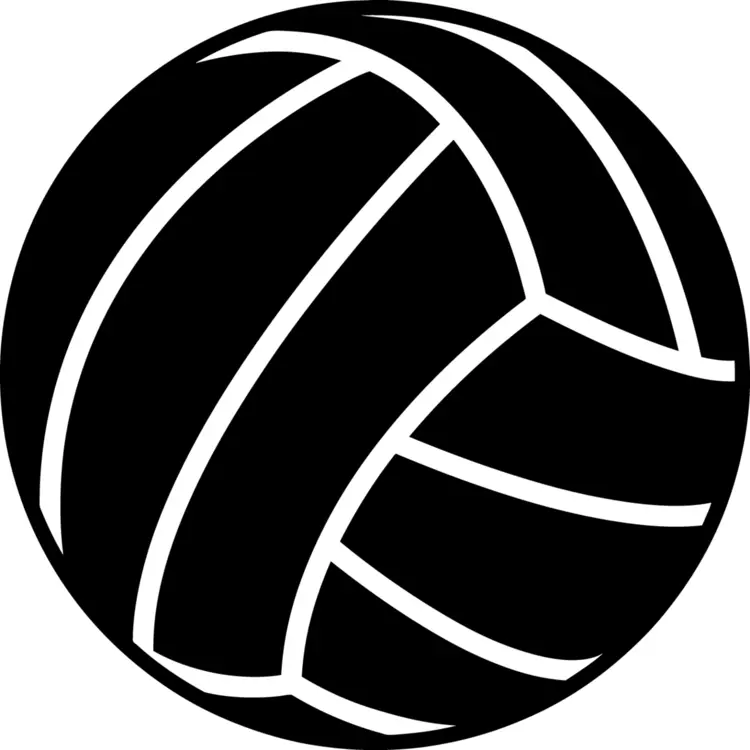 Black Volleyball Illustration